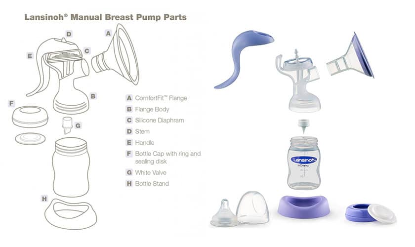 Lansinoh Manual Breast Pump Parts and Assembly