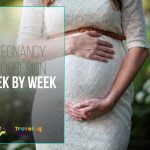 Pregnancy progresion week by week featured image