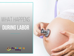What Happens During Labor?